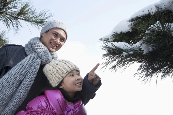 Father with daughter pointing at tree branch — Stock Photo, Image