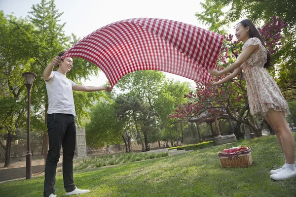 Amigos preparándose para hacer un picnic —  Fotos de Stock