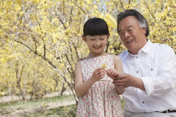 Lächelndes Mädchen und ihr Großvater mit Blick auf eine Blume — Stockfoto