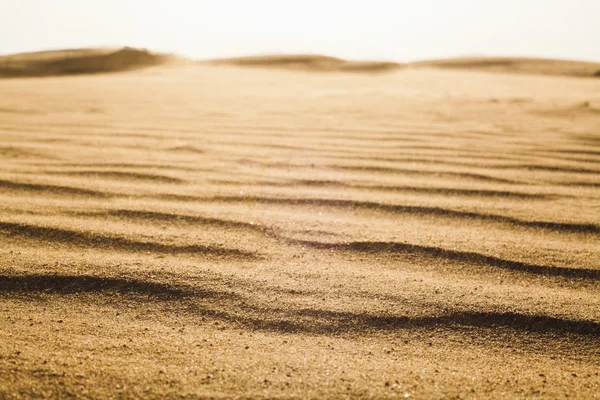 Mintázat a homok — Stock Fotó