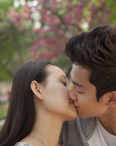 Couple in love and kissing in the park — Stock Photo, Image