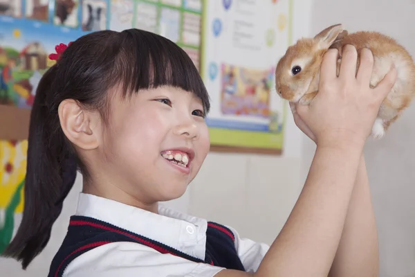 Colegiala sosteniendo conejo mascota en el aula —  Fotos de Stock