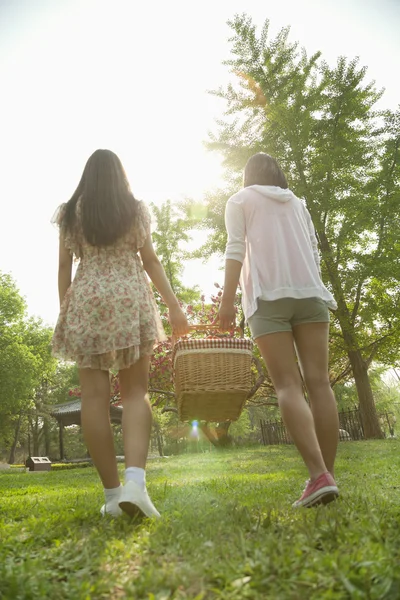 Amici che camminano in un parco per fare un picnic — Foto Stock