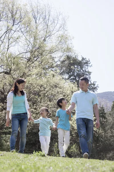 Familia cogida de la mano, caminando en el parque — Foto de Stock