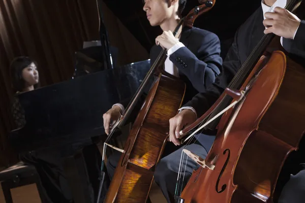 Cellists playing the cello — Stock Photo, Image