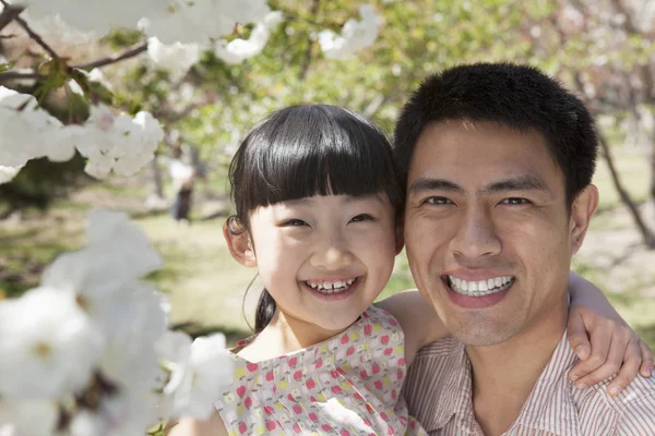 Pai e filha, apreciando as flores de cerejeira — Stok fotoğraf