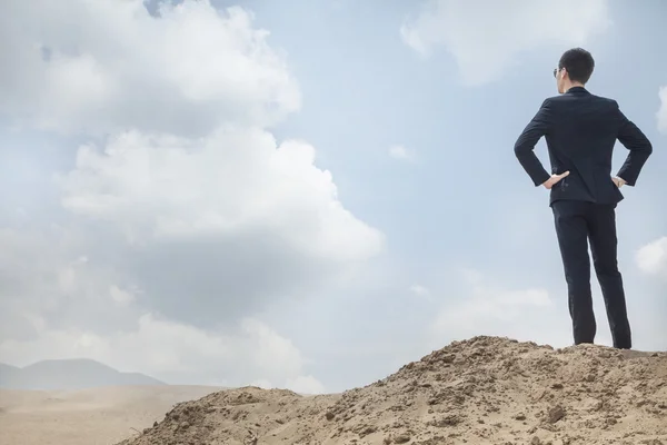 Uomo d'affari affacciato sul deserto — Foto Stock