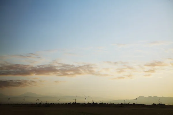 Wind farm at sunset — Stock Photo, Image