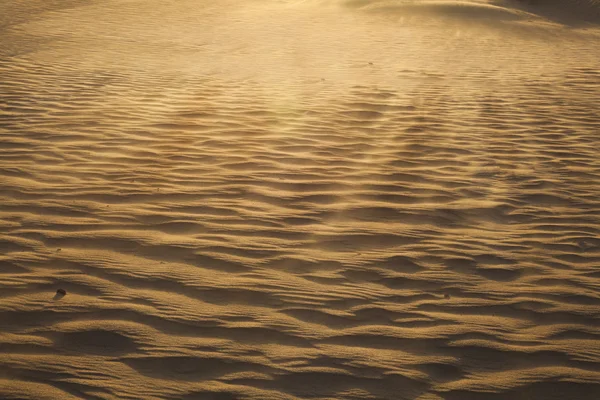 Muster auf dem Sand — Stockfoto