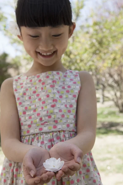 Girl looking down at a cherry blossom — Stock Photo, Image