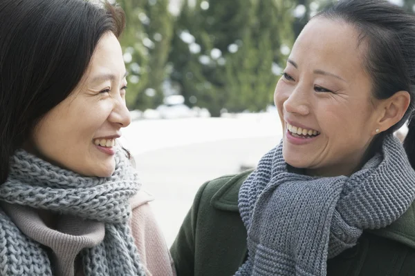 Two friends in park covered in snow — Stock Photo, Image