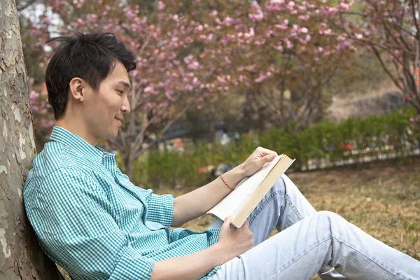 Homem apoiando-se em uma árvore e apreciando seu livro — Fotografia de Stock