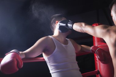 erkek boxer boks ring knockout yumruk atma
