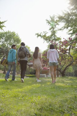 piknik için bir parka doğru yürüyor arkadaşlar