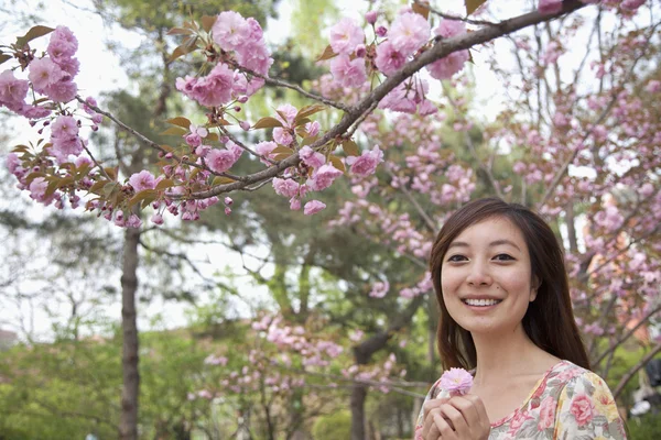 Woman under a blossoming tree — Stock Photo, Image