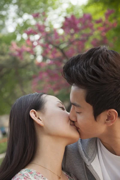 Couple in love and kissing outdoors in the park — Stock Photo, Image