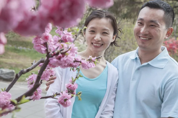 Pareja mirando flores de cerezo — Foto de Stock