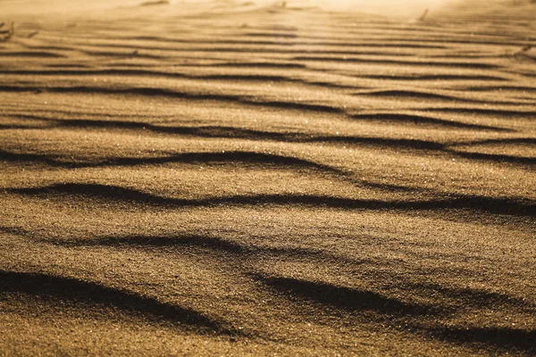 Deserto e o padrão de vento na areia — Fotografia de Stock