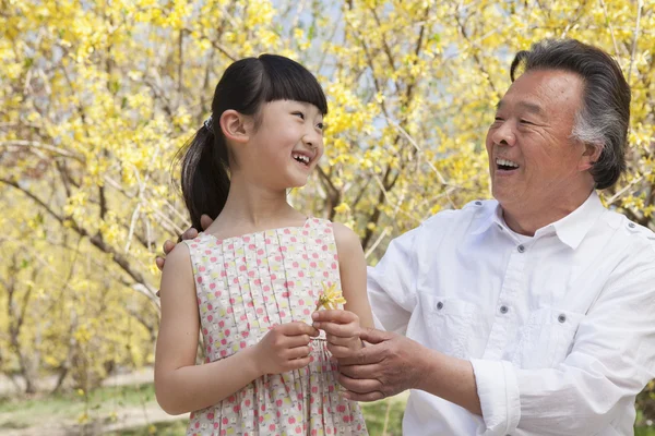 Sorrindo menina e seu avô olhando para uma flor — Fotografia de Stock