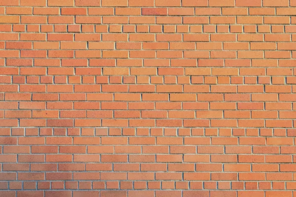 Closeup Weathered Wood Wall — Stockfoto