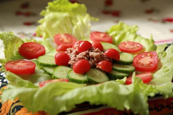 Insalata di tonno — Foto Stock