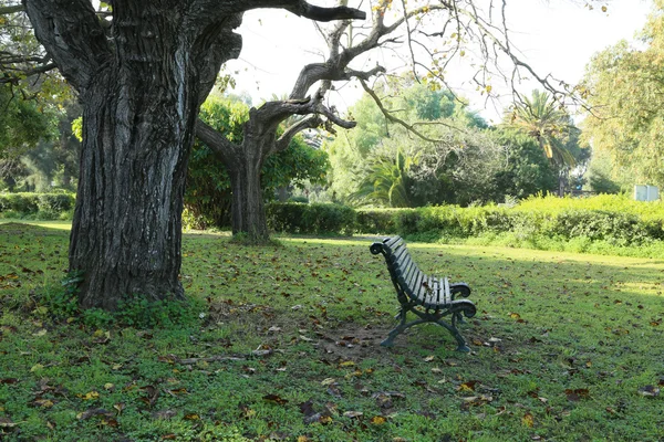 Empty old bench in an autumn park — Stock Photo, Image