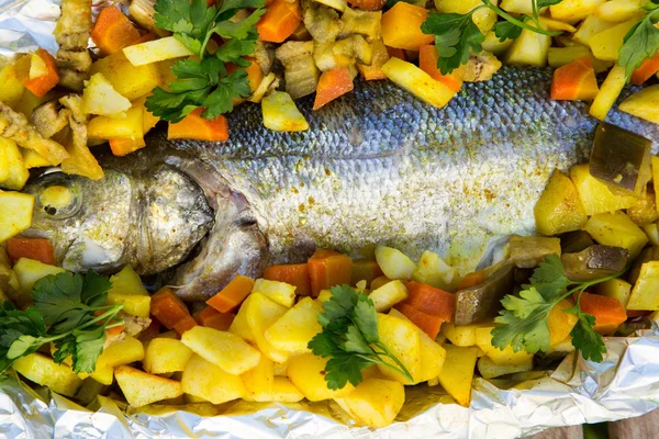 Baked sea bass with vegetables and curcuma — Stock Photo, Image