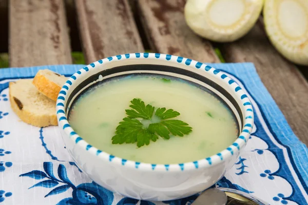 Sopa de creme de erva-doce no prato — Fotografia de Stock