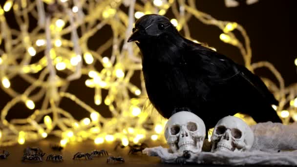 Corbeau Noir Crânes Avec Lumières Espace Négatif — Video