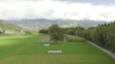 Yeşil tarladaki saman balyalarının havadan görünüşü