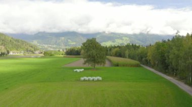 Yeşil tarladaki saman balyalarının havadan görünüşü