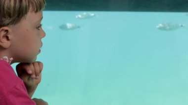 Oceanarium 'da su altında hayat arayan iki çocuk.