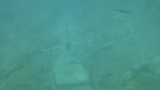 해저에서 바퀴를 조종하는 — 비디오