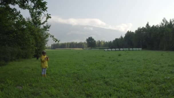 Vista Aérea Una Niña Jugando Naturaleza — Vídeo de stock