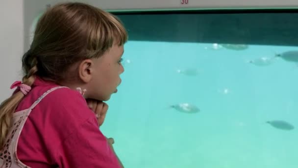 Liten Flicka Och Pojke Tittar Simmande Fisk Akvarium — Stockvideo