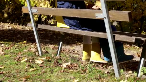 Twee Kinderen Zittend Rustend Een Houten Bank Het Herfstpark — Stockvideo