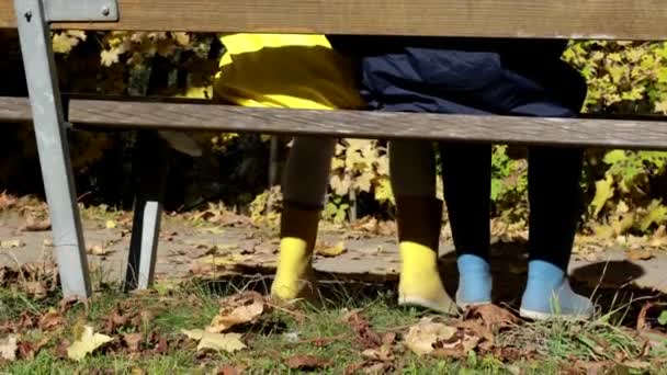 Two Kids Sitting Resting Wooden Bench Autumn Park — Video Stock