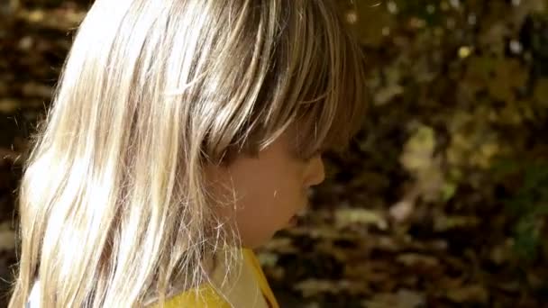 Cropped Little Girl Autumn Park — Stockvideo