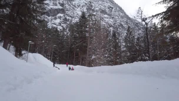 Kids Riding Sleigh Snowy Forest — Stockvideo