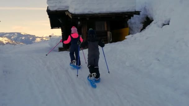 Bakåt Syn Barn Vandring Skidor Snö Vinter Berg — Stockvideo
