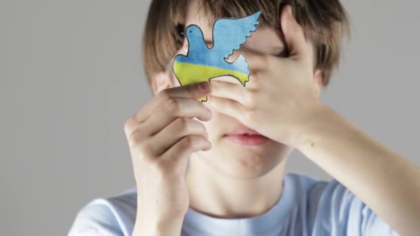 Caucasian boy closes his face and shows freedom pigeon. — Stock Video