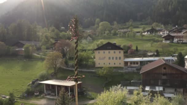 Installed tall green maypole in an Austrian village in Eastern Tyrol. — Stockvideo
