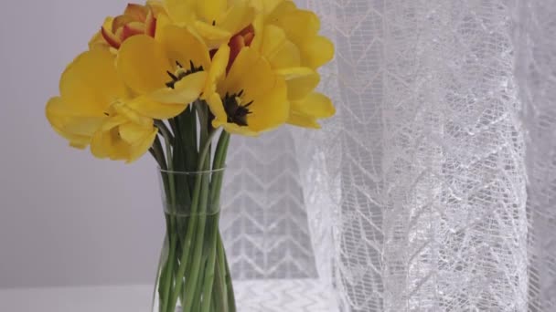 Bunch Yellow Tulips Glass Vase Closeup — ストック動画