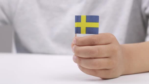 Кавказский Мальчик Лет Держит Небольшой Флаг Швеции Высококачественные Кадры — стоковое видео