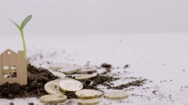 Small house, coins and seedling in the soil in the background. High quality 4k footage