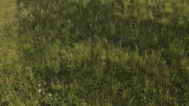 Çocuk evi ve rüzgar türbinini elinde tutuyor. Yavaş çekim