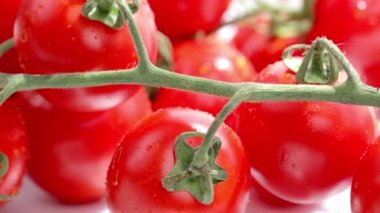 Closeup of cherry tomatoes. High quality 4k footage