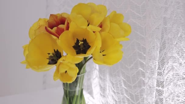 Bunch Yellow Tulips Glass Vase Closeup — Vídeo de stock