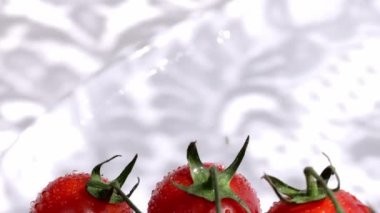 Closeup of cherry tomatoes. High quality 4k footage