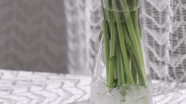 Bunch Yellow Tulips Glass Vase Closeup — Vídeo de stock